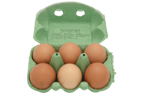 Bio-Eier-6 Stück