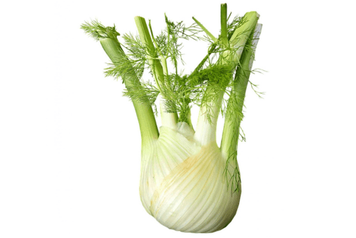 Bio Fenchel