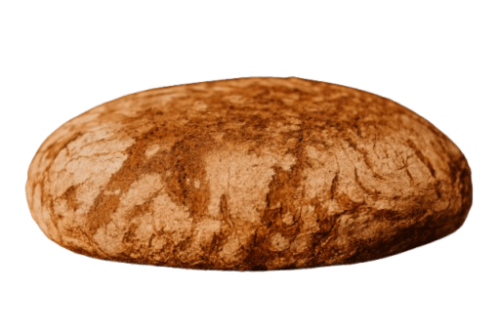 Bio Sonnenblumenbrot