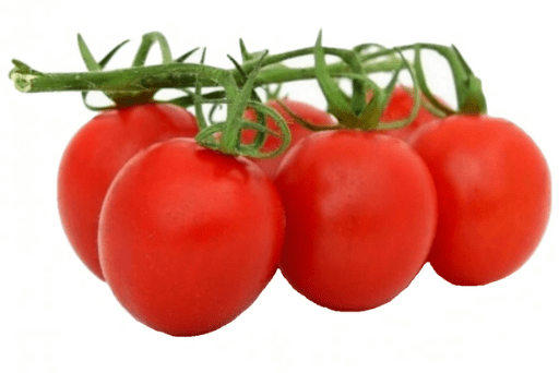 Bio Tomaten