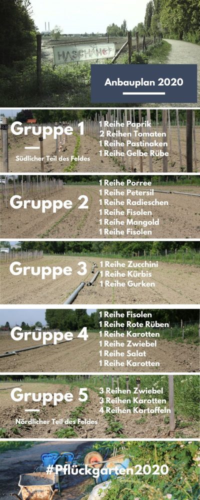anbauplan2020