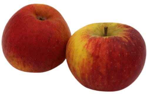 Bio Apfel