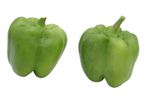 Bio Paprika Grün