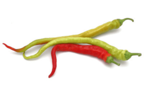 Bio Pfefferoni mild 5 Stück