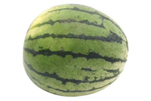 Bio Wassermelone
