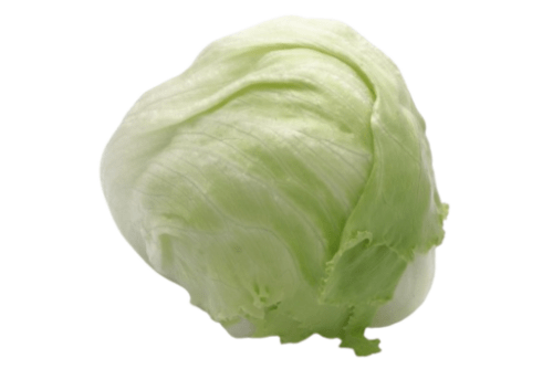 Bio Eissalat