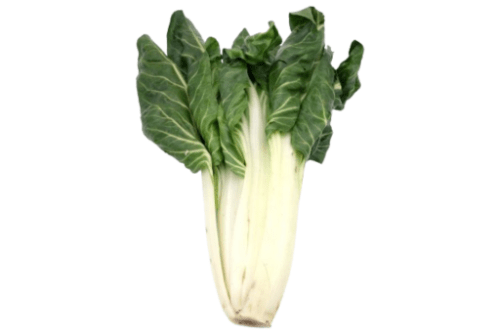 Bio Mangold