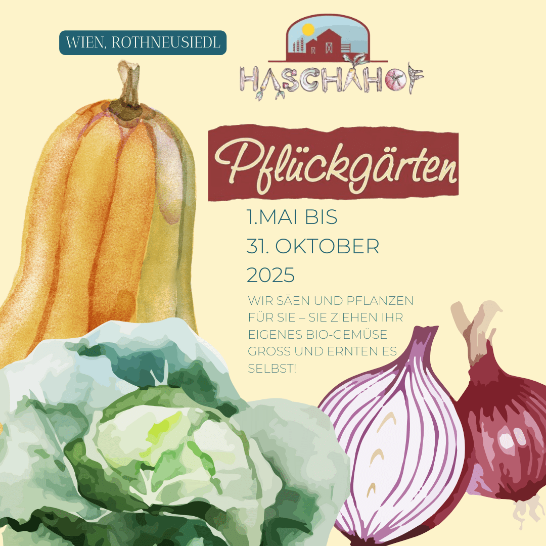 Pflückgarten 2025 Pflückgarten 2025